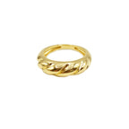 Anillo trenzado