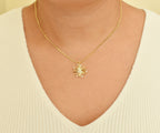 Collar Estrella Fugaz