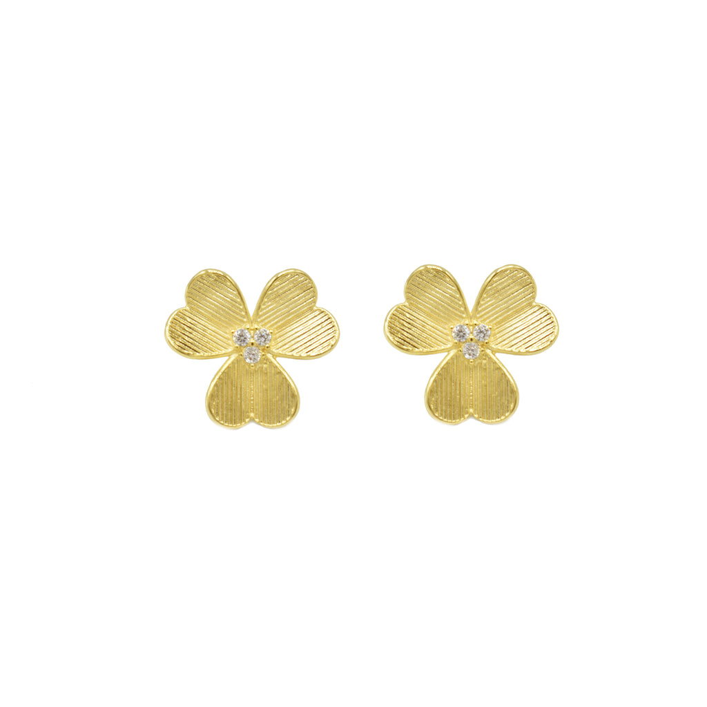 Aretes Gracia