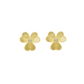 Aretes Gracia